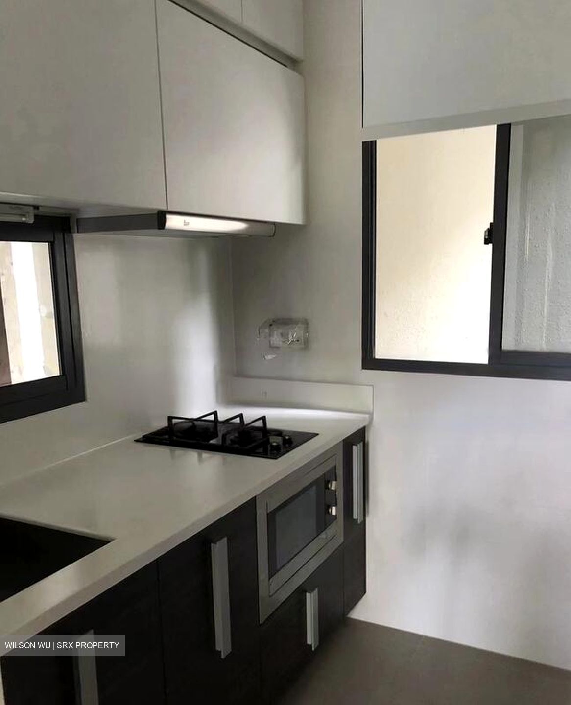Wishart Road (D4), Condominium #483000821